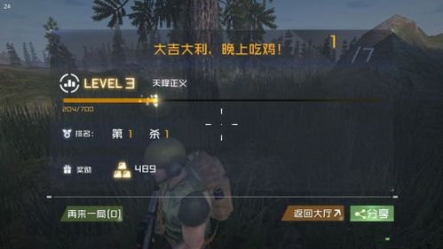 吃鸡攻略和技巧