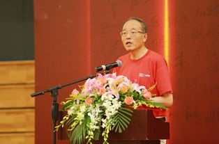 什么叫Chinapay？