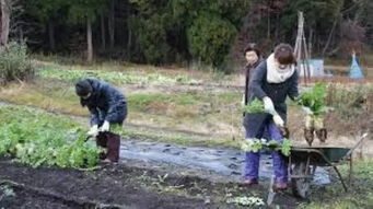 农村创业致富商机网,农业商机网创业项目