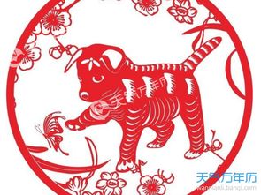 本命年需要注意什么?