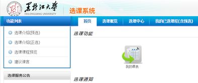 黑龙江大学选课系统的网址是多少？