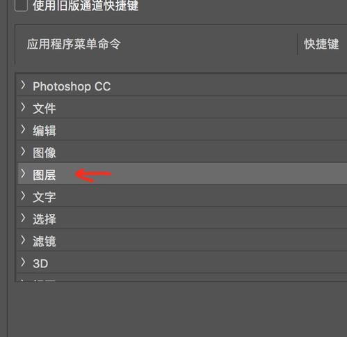 ps 复制组 快捷键