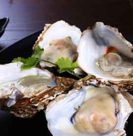 生吃生蚝的危害