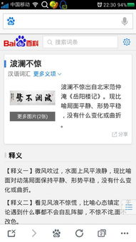 岁月波澜不惊什么意思,内心波涛汹涌表面波澜不惊什么意思