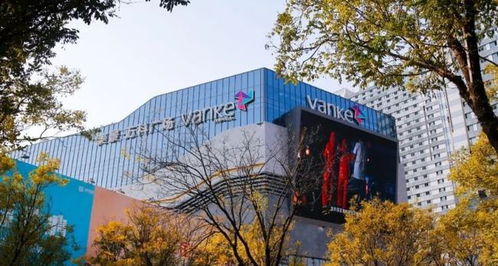 万科是国企还是民企？