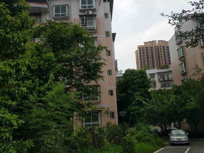 宁波紫田进出口有限公司怎么样？