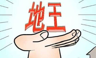 怎么评价叨客机器人？