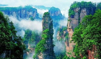 张家界新闻网,张家界新闻网 杨百万