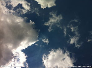 乌云网的网站简介