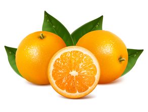 橙子建站是什么意思?