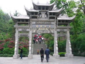 万松老人的简介