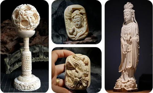 猛犸牙功效和作用