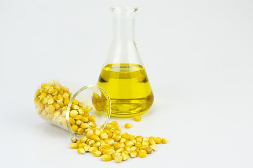 植物油是什么油?
