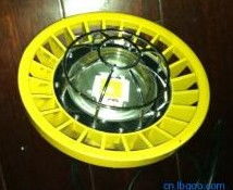 柯铭的策展经历