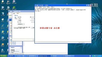 站长工具 网站基本信息 多个同IP网站什么意思 作用