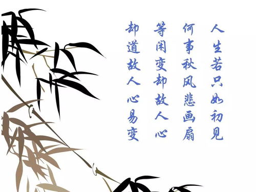 人生若只如初见mv,人生若只如初见的意思是什么意思