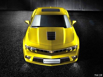 限量版什么意思,古驰限量版包包