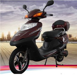 电动车哪个牌子好质量好,电动车哪个牌子好耐用