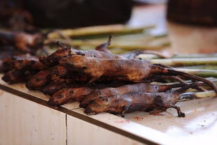 “乌鸦坐飞机”和“福建烤老鼠”是什么意思？