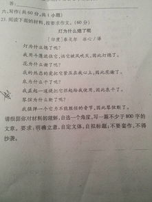请输入作文题目搜索我的家是动物园作文250字