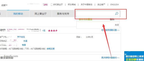 怎么查自己的手机服务密码