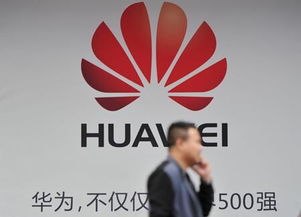 华为校园招聘流程