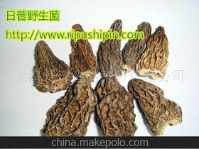 羊肚菌的价格多少钱一斤 羊肚菌怎么挑选