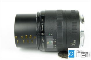 佳能的微距镜头哪个最好