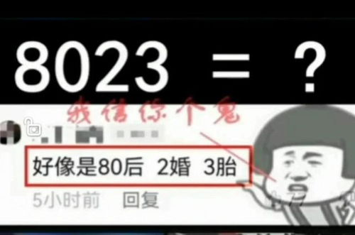 8023是什么意思啊纹身