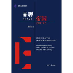 品牌形象策略的基本要点是什么？