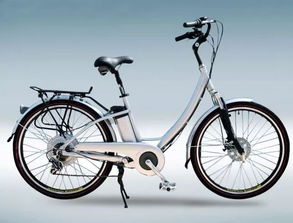 中国十大品牌电动自行车有哪些？