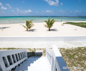 我的吉他牌子写着“Cove Creek”,请问是什么品牌？