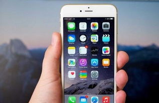 苹果8home键失灵怎么办？