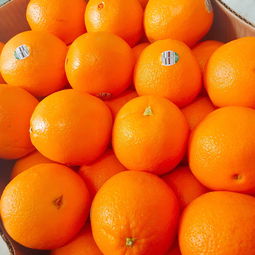 美橙互联是一家什么公司？