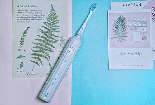 纠结usmile和飞利浦电动牙刷哪个好？