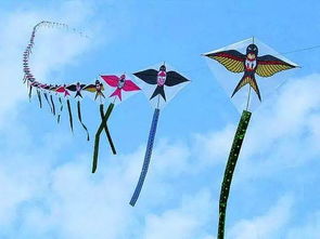 风筝的传说读后感，风筝的传说主要内容