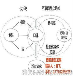 网络营销策划书的范文