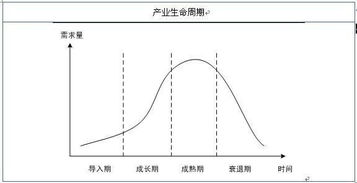 企业的成长期一般有哪些特征?