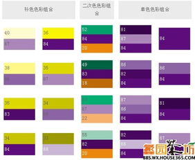 紫色配什么颜色好看,紫色衣服和什么颜色搭配