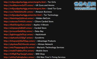 影子网络怎么进入？只要把详细方法告诉我