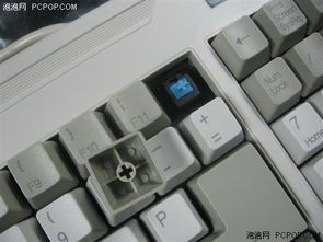 cherry键盘，什么轴都有什么特点有什么用？