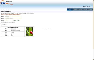 如何制作学生成绩查询系统