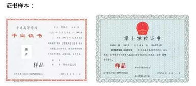 双学位什么意思