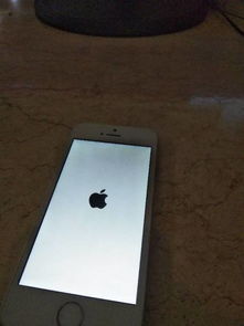 苹果手机一直闪开不了机