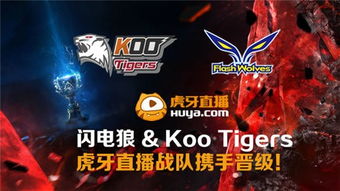 原闪电狼的选手，在离开FW之后，大多打进了世界赛