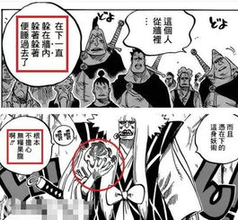 海贼王漫画剧情到哪了,