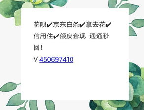 微信打白条是什么意思