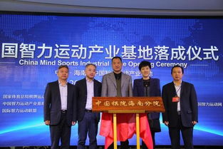 中国棋院进去的条件