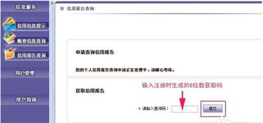 个人信用怎么查询系统信息