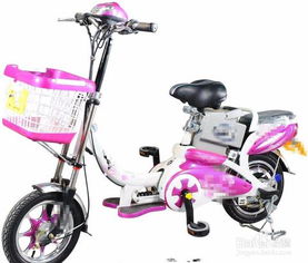 电动车哪个牌子好